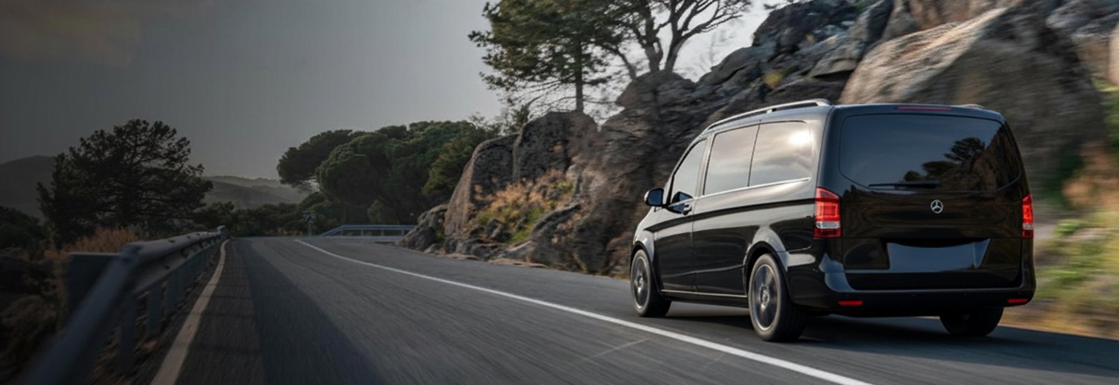 Executive licensed transfers from Switzerland - Premium transfer